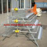 A-Type Automatic Chicken Cage With 3 Tiers (Have agents in some countries, welcome to check the quality) )