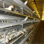 poultry farm machinery