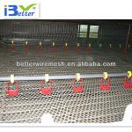 BT factory poultry farming equipment for broiler chicken