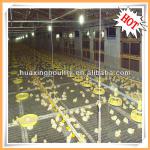 China style automatic feeding system for broiler and breeder