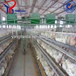 broiler chicken cage poultry equipment