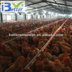 BT factory farm equipment for sale for broiler chicken