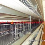 H type cage of pullet raising equipment