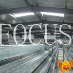 most poplular automatic H layer cages feeding system