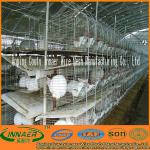 Offer Rabbit Breeding Cage(ISO9001) in High Quality