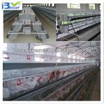 Hot-Sale BT factory A-128 chicken poultry cage for nigeria(Welcome to Visit my factory)