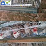 Hot-Sale BT factory A-120 chicken poultry layer cage(Welcome to Visit my factory)