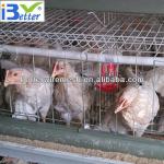 Hot-Sale BT factory A-120 chicken poultry layer cage(Welcome to Visit my factory)