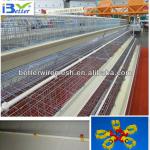 Best selling BT factory A-128 layer poultry cages(Welcome to Visit my factory)
