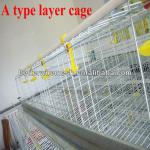 Best selling BT factory A-120 chicken egg layer cages (Welcome to Visit my factory)