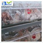 Hot-Sale BT factory A-128 chicken layer cage price(Welcome to Visit my factory)