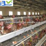 Best selling BT factory A-128 poultry battery cages(Welcome to Visit my factory)