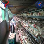 chicken cage factory for poultry farm