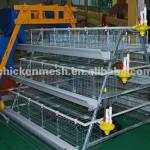 many years experience to export layer cages