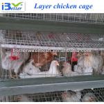 Good quality BT factory A-160 type poultry farm layer cage(Welcome to vist my factory)