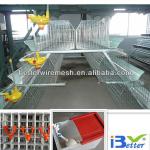 Best selling,Good quality BT factory A-120 cage for layer chickens (Welcome to vist my factory)