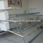 Good quality BT factory A-160 type indoor chicken coop(Welcome to vist my factory)