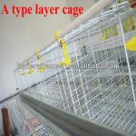 Good quality BT factory A-160 type large chicken coop run (Welcome to Visit my factory)