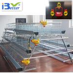 Best selling,Good quality BT factory A-160 chicken egg layer cages (Welcome to vist my factory)