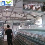 Hot-Sale BT factory A-128 battery chicken layer cage(Welcome to Visit my factory)