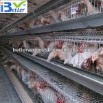 Hot-Sale BT factory A-128 chicken layer battery cage(Welcome to Visit my factory)