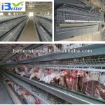 Hot-Sale BT factory A-160 poultry egg layer cage(Welcome to Visit my factory)
