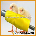 Best automatic poultry nipple drinker for chicken and broiler