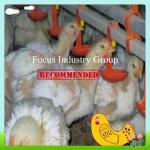 poultry nipple drinker drip cups with long durability