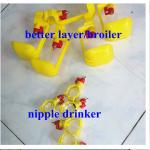 hot-sell BT factory automatic poultry nipple drinker for chicken
