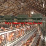 chicken layer cage system for poultry farm