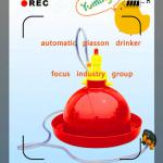 fully automatic chicken drinking equipment for sale