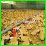 Poultry feeding equipment (fits for Broiler,Duck )