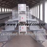 poultry equipments for chicken breeding on farm