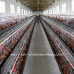 poultry farming design layer equipment cage