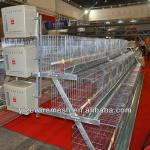 rearing equipment for chicken