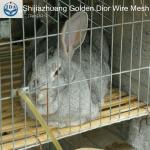 Economic and practical Rabbit Cages