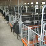 Farrowing crates for pigs,pig equipment