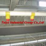 automatic chicken drinking system for poultry farm