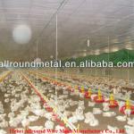 Ready Sale Full Automatic chicken feeding system for poultry broiler