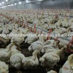 controlled poultry farming equipment for broiler chicken