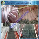 pig farming equipment/pig equipment for piglet Feeder 0086-13653813022