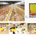 Automatic poultry equipment for broiler