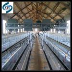 Well-known brand automatic feeding system for chicken feeding