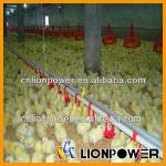 Best automatic chicken broiler poultry shed design