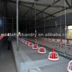 poultry equipment for broiler
