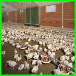 Advanced automatic poultry feeding system (Chicken,Duck)