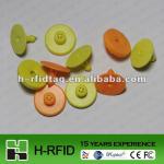 2013 China LF RFID ear tag for animal identification accept Paypal