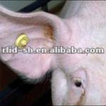 uhf rfid pig ear tag