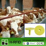 2012 China LF RFID ear tag for animal identification accept Paypal