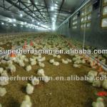 automatic chicken farm
